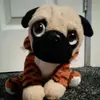 Mason Ogden - @gameing_pug1239 - TikTok