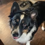 Mason olsen - @masonolsen2022 - Instagram
