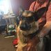 Mason Olson - Facebook