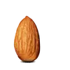 Mason Olson - @mason.olson3 - TikTok