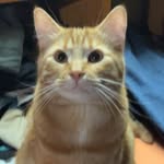 Mason Ortiz - @masonortiz820 - Instagram