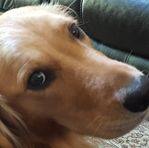 Mason Ott - Facebook