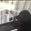 Mason Ott - @ott.29 - TikTok