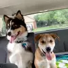 masonpacee - @masonpacee - TikTok