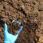 Bulk Dry Raw Manure by Mason Packard - Facebook