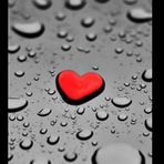 Mason Pappas - Facebook