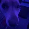 Mason Perdue - @masonperduee - TikTok