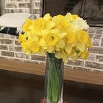 Elizabeth Perryman Mason - @elizabethperrymanmason - Instagram