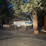 Mason petersen - @the73_dog - Instagram