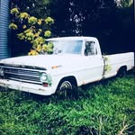 Mason Petersen - @metaldectingchannel - Instagram