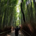 Mason Phan - @mp_phan - Instagram