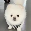 masonpink495 - @yourboym27 - TikTok