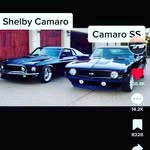 Masonpoe12 - @msonpoe - Instagram