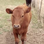 Mason Pohl - @masonpohl239 - Instagram