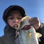 Mason - @mason_pollard3 - Instagram