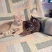 Eileen Mason Posner - Facebook