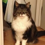 Mason Posner - @masonfromohio - Instagram