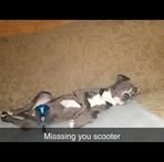 Mason Pulliam - Facebook