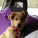 mason randall jenkins - @masonrandalljenkins - Instagram
