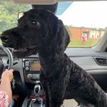 Mason Randolph - @bigbart864 - Instagram