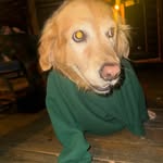 Mason Rapp - @rappmason - Instagram