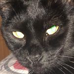 Mason Ringer - @kakosuso - Instagram