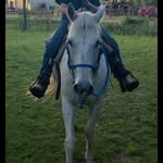 Mason Rowland - @cowboy_mason19 - Instagram