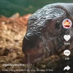 Mason Rowland - @masonrowland361 - Instagram
