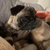 Mason Rushing - @mrush0672 - TikTok