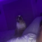 Mason Rushing - @fat_boymason2.0 - Instagram