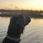 MasonRushing - @masonrushing17 - Instagram