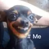 Male-iam - @mason_..rye31007 - TikTok