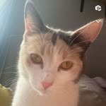 Mason Rye - @ryemason - Instagram