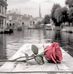 Maysoon Salman - Facebook