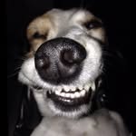 Mason Sauer - @sauer_mason - Instagram