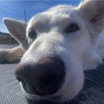 Mason Schmidt - Facebook