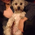 Mason Sharkey - Facebook