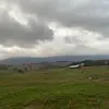 masn - @mason.sharp12 - TikTok