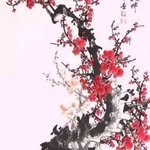 Mason Sharp - @masonsharp57 - Instagram
