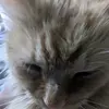 Mason Sharp - @mason.sharp5 - TikTok