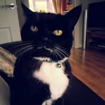 mason smart - @prv.mason_smart11 - Instagram