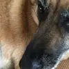 Mason Smart - @mason.smart5 - TikTok