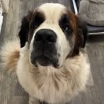 Mason Sorine - @mason_smart52 - Instagram