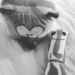 mason snider - @flaming_idiot - Instagram