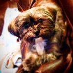 mason snider - @moneymas22 - Instagram