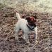 Mason Spears - Facebook