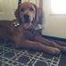 Mason Stanfield - Facebook