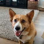 Mason Thomson - Facebook