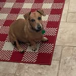 Mason Toth - @masontoth2 - Instagram