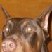 Mason Venable - Facebook